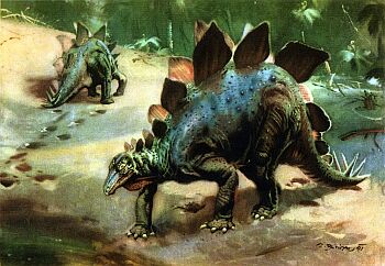 Стегозавр.  Stegosaurus